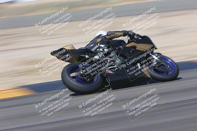 media/Oct-01-2023-SoCal Trackdays (Sun) [[4c570cc352]]/Turn 14 Side (1135am)/